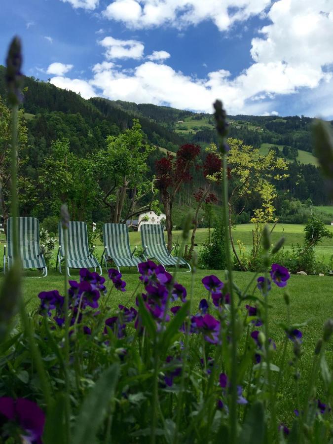 Aschau Im Zillertal Appartements St. Leonhard מראה חיצוני תמונה