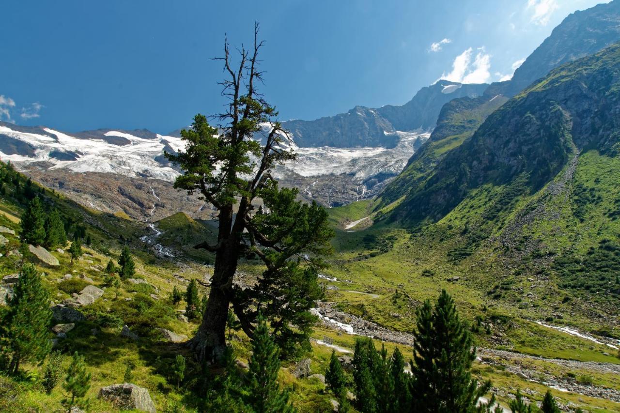 Aschau Im Zillertal Appartements St. Leonhard מראה חיצוני תמונה