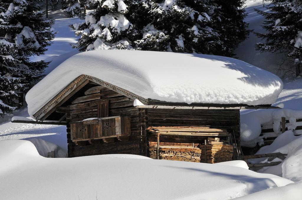 Aschau Im Zillertal Appartements St. Leonhard מראה חיצוני תמונה